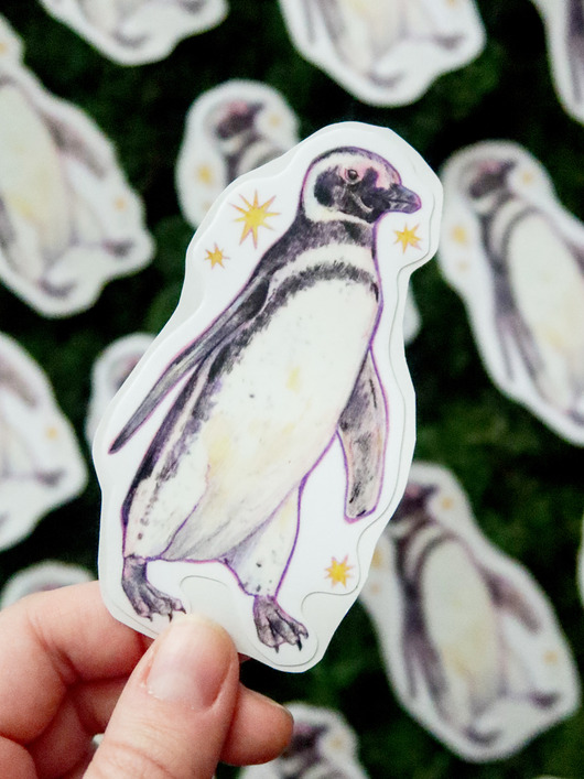naklejki i wlepy Pingwin magellański / naklejka winylowa