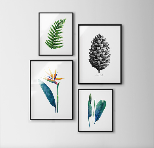 Plakat Natura set WISIMITU