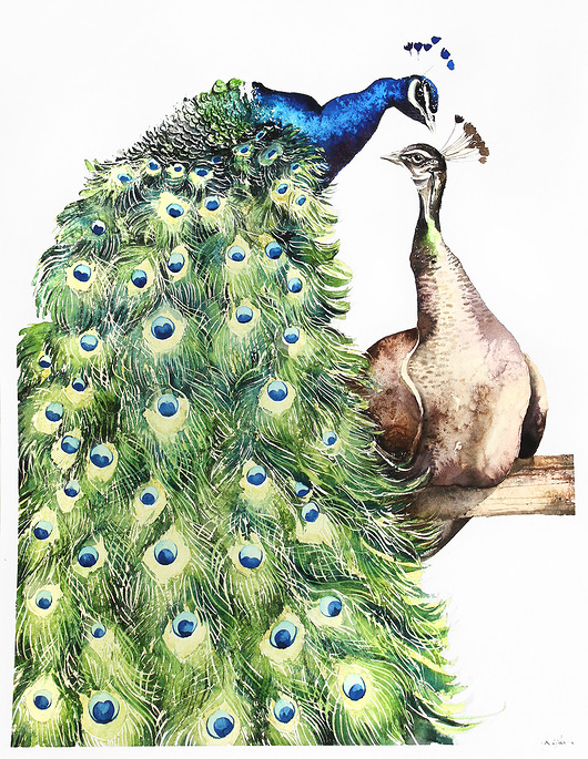 Pawie- plakat, reprodukcja 30x40cm Karolina Kijak