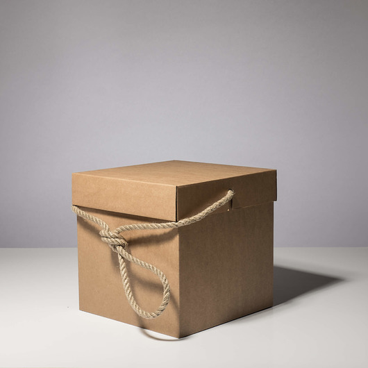 skrzynki, kufry i pudła Bag Box - Torba tekturowa rozmiar: 22x22x22 cm