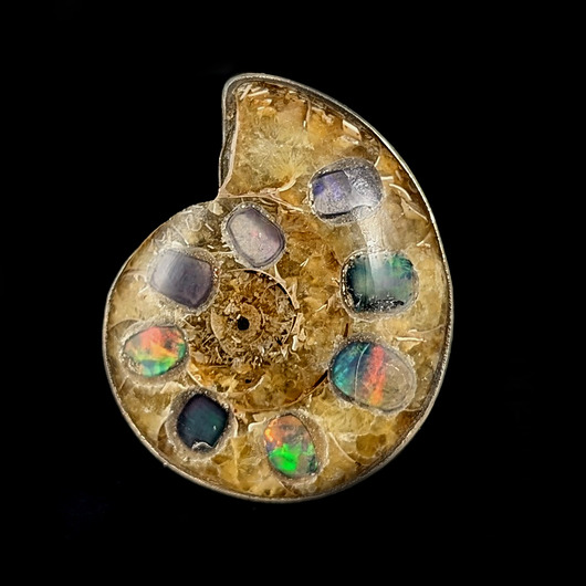 pierścionki srebrne Pierścionek fossil & opal
