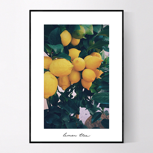 Plakat LEMON TREE MUKKO