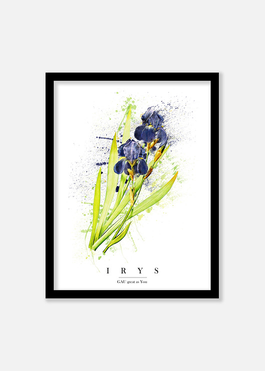 Irys Plakat GAU Home