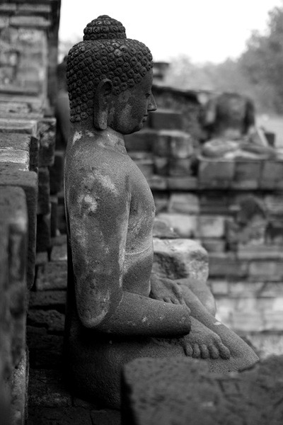 Budda III Chilli Art