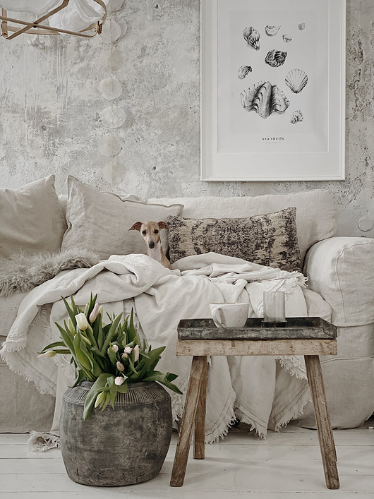 plakaty Plakat Muszle