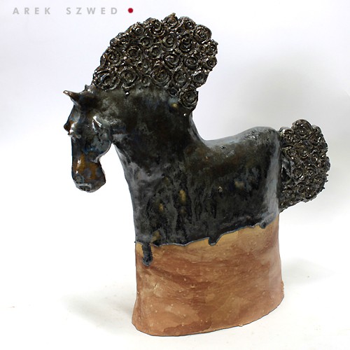 Srebrozzz Arek Szwed