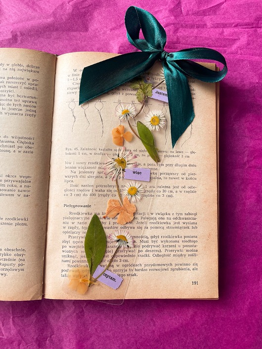 zakładki do książek Zakładka do książki z suszonymi kwiatami