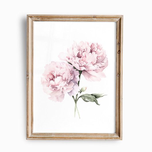 obrazy Pastelowa Różowa Piwonia - grafika botaniczna