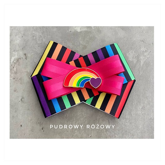 broszki Brosza z Kolekcji LOVE is LOVE  Pride