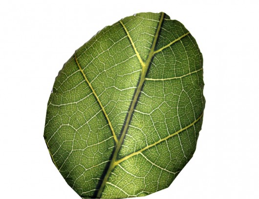 Poduszka 40x50cm liść AT design