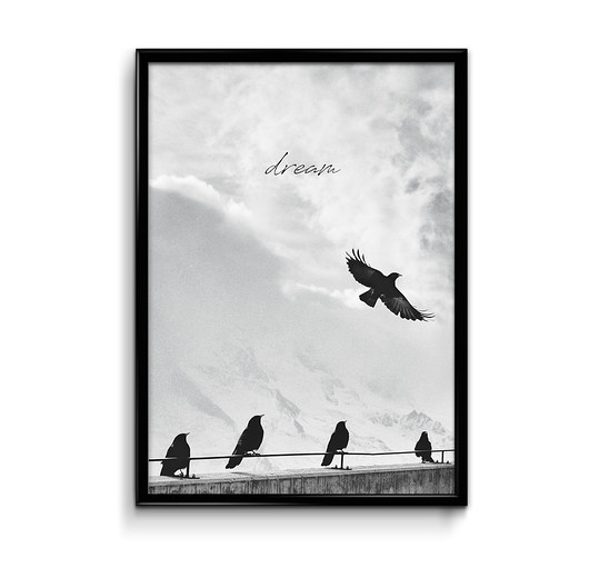 Dream plakat  Bury Lis