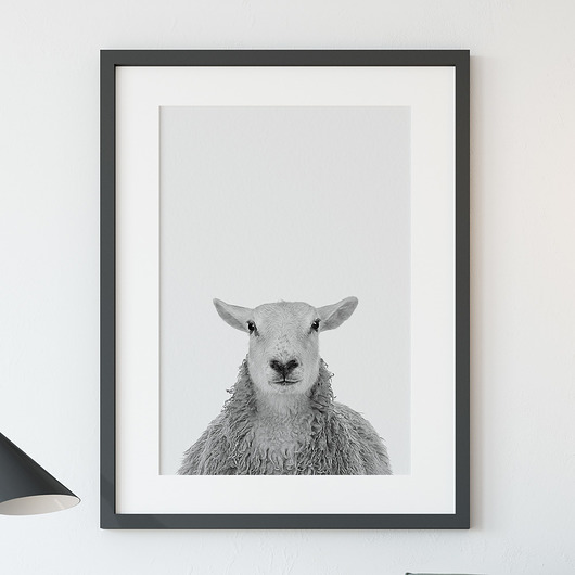 Plakat Owca - 50x70cm ScandiMyLove
