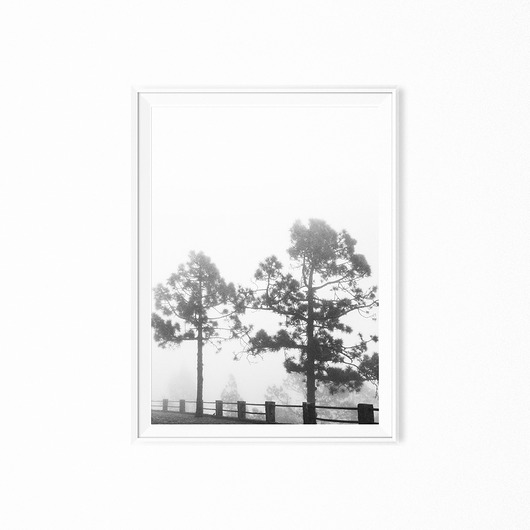 Plakat skandynawski minimalistyczny Trees myscandi