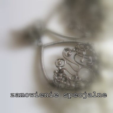 Zamówienie specjalne poliana