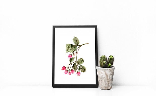 plakaty Maliny - plakat A4/A3