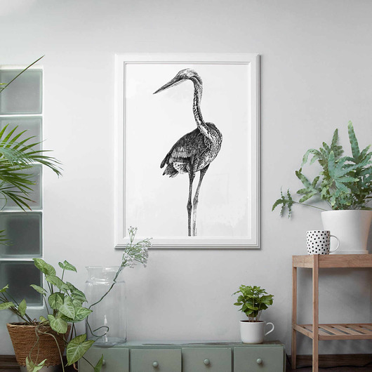 grafiki i ilustracje Czapla II