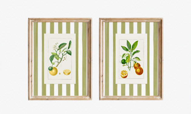 grafiki i ilustracje DWA PLAKATY galeria botaniczne owoce pasy