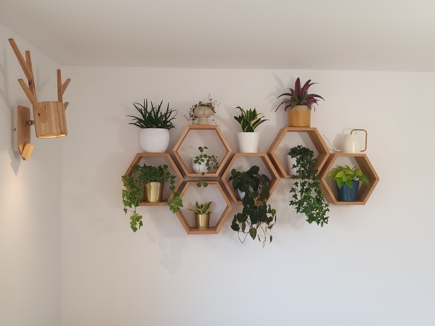 półki Półka plaster miodu ,komplet