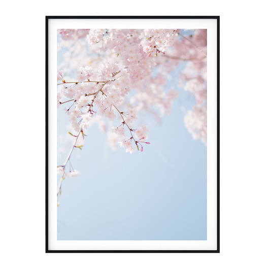 Plakat botaniczny Wiosna no. 2 myscandi