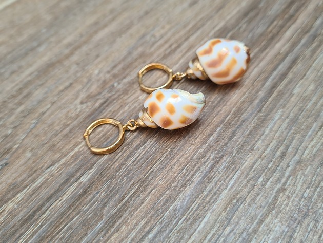 kolczyki pozłacane Kolczyki srebro złocone CARAMEL SEASHELLS