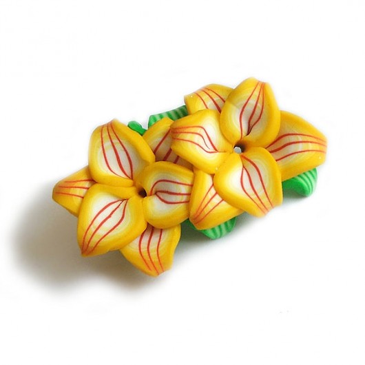FIMO collection: Lato Czarna Pantera