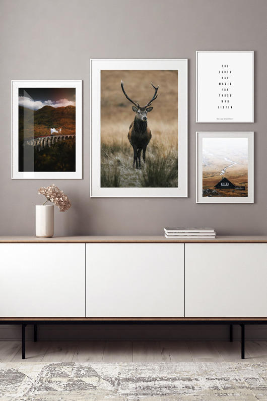plakaty PLAKATY NATURA  galeria ścienna foto jeleń