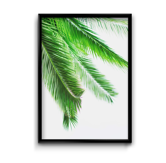 plakaty Plakat Palmowe Liście