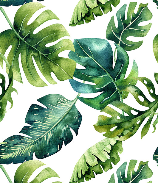 Fototapeta Samoprzylepna Monstera Dekoracje PATKA Patrycja Kita