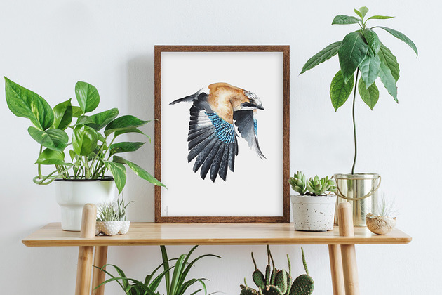 Sójka II - Glicee print,ptaki Karolina Kijak