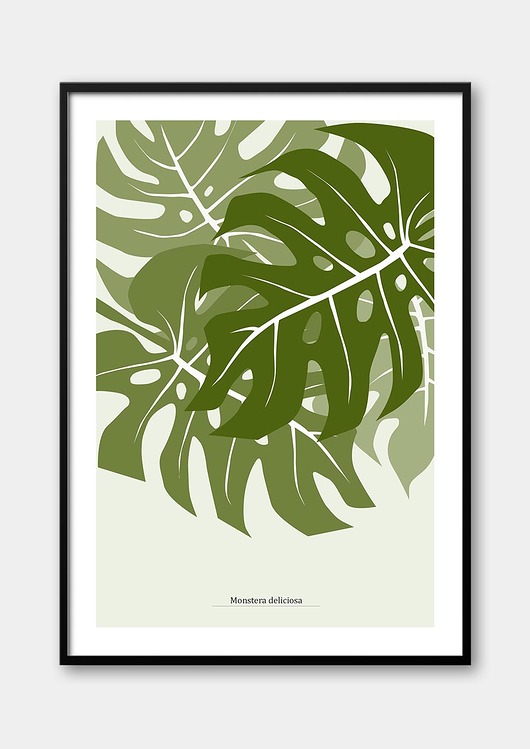 plakaty Plakat Monstera