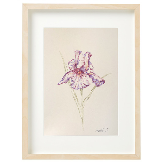 grafiki i ilustracje Iris III / ilustracja A4 oryginał
