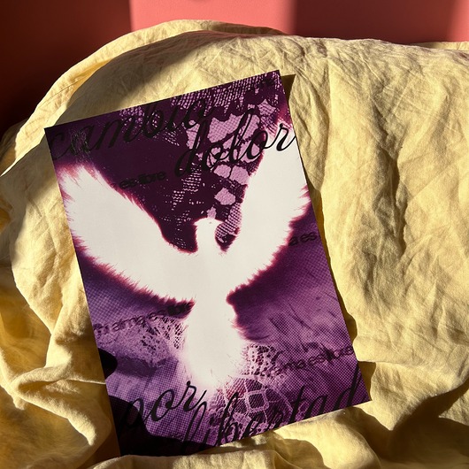 plakaty Plakat cambio dolor por libertad a3