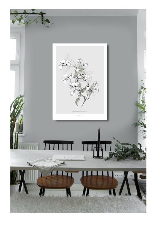 Jaśmin  print 50x70 cm Margo Hupert