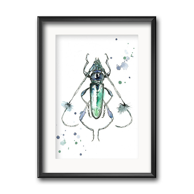 grafiki i ilustracje Żuk zielony , 30x21 cm, A4