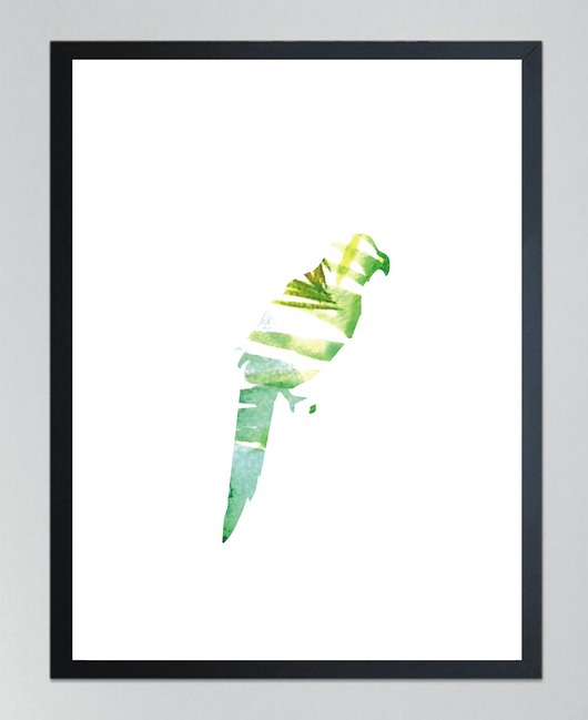 plakaty PAPUGA 1- poster, 50x70 cm