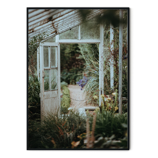Plakat botaniczny Szklarnia no. 4 myscandi