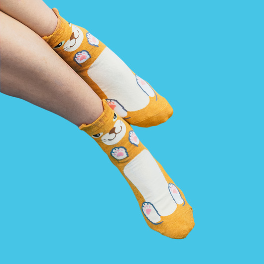 Skarpetki z kotkiem - Sprytny rudzielec CandySox