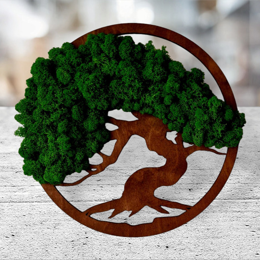 dodatki - różne Drzewko bonsai życia mech chrobotek dekoracja obraz
