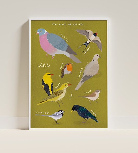 plakaty Plakat edukacyjny A3 PTAKI NA WSI