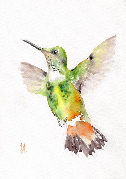 obrazy Oryginalna akwarela. Koliber
