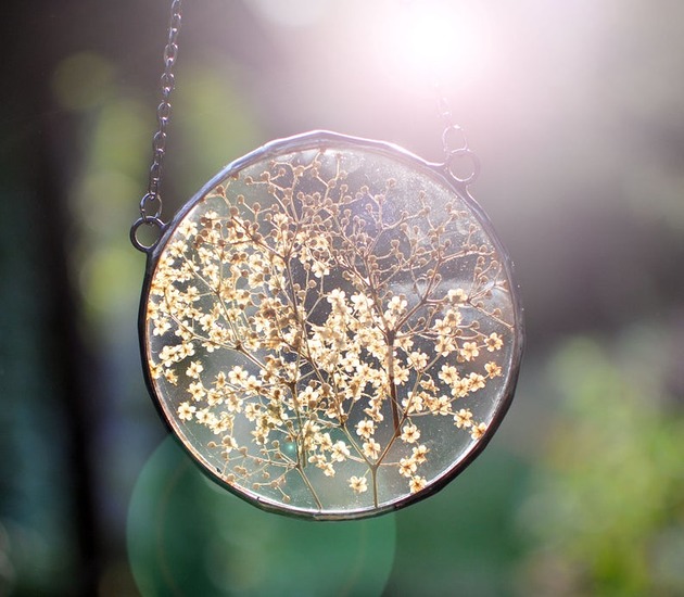 dodatki - różne Właśnie kwitnie czarny bez