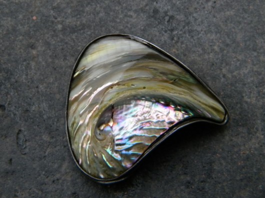  paua - wygiety płatek - broszka  Beata Trotter