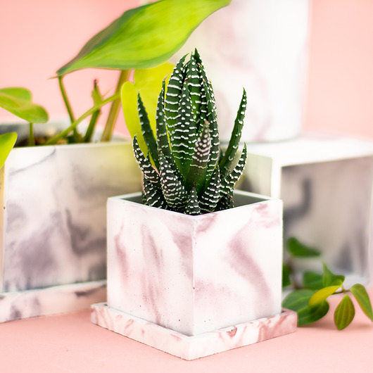 doniczki MINI doniczka z podstawką na kaktusa, sukulenty  różowy marmurek 6 cm