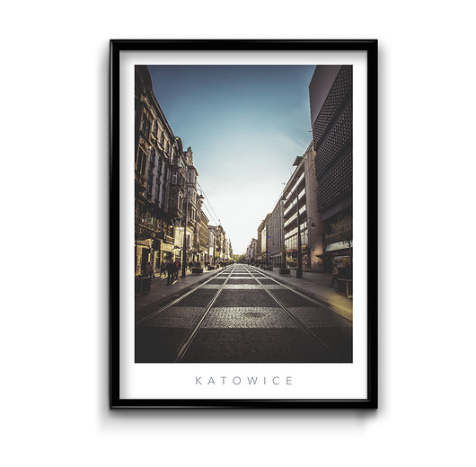 Plakat Katowice #2  Bury Lis