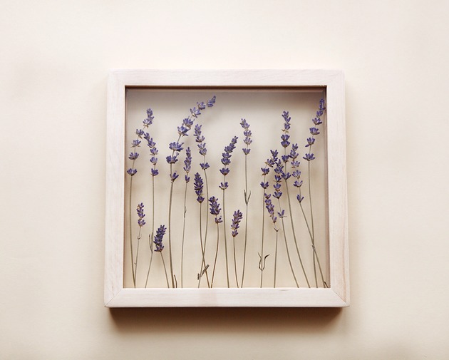 obrazy Żywy obraz z Lawendą S