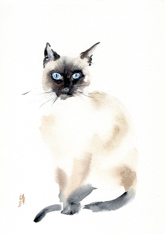 obrazy Oryginalna akwarela. Kot