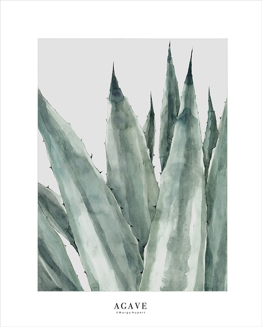 Agave 50x70 cm Margo Hupert