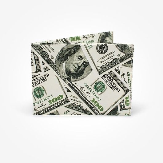 portfele damskie Portfel DOLARS- TYVEK