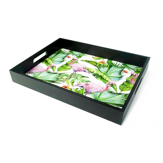 Taca Jungle MIA home