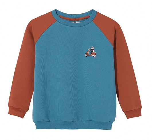 bluzy dla chłopców Bluza Panda Turquesa